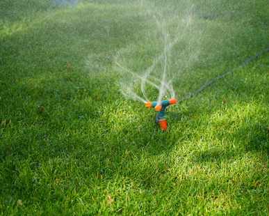 rasen mit sprinkler bewässen